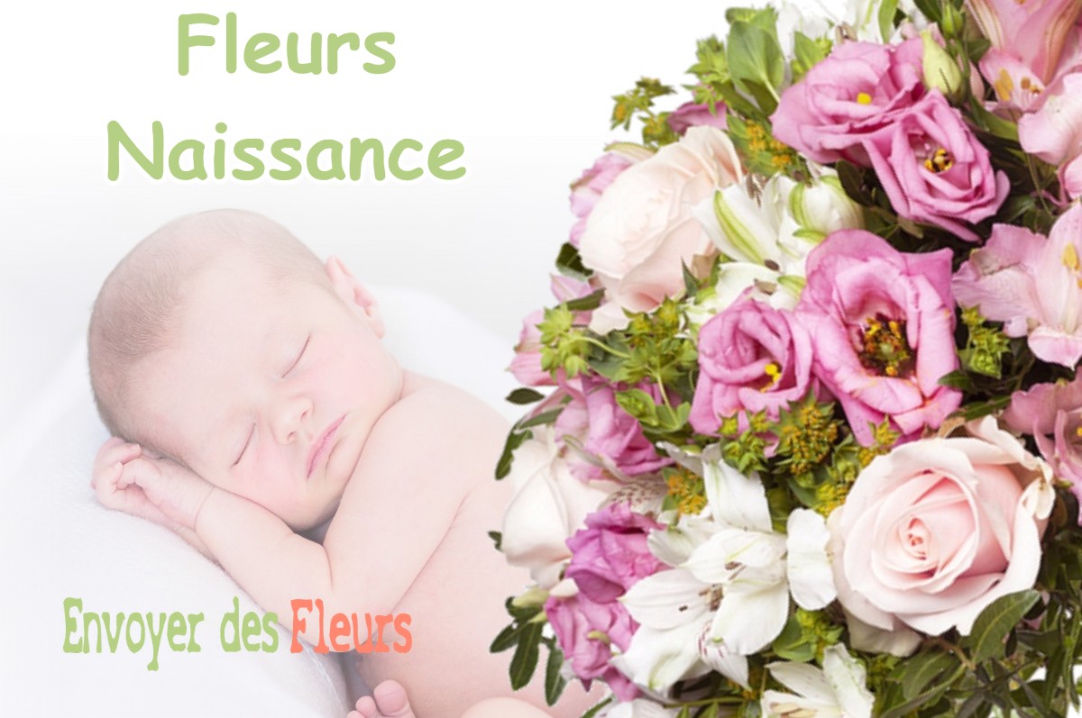 lIVRAISON FLEURS NAISSANCE à SAINT-PAUL-D-IZEAUX